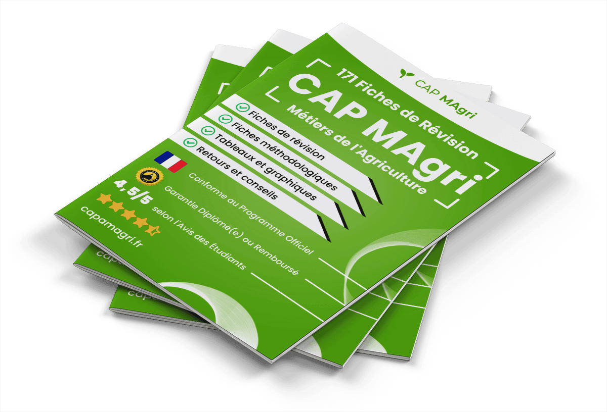 171 Fiches de Révision